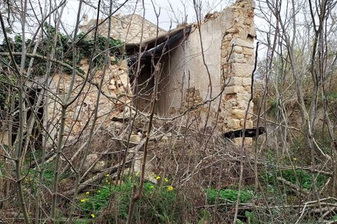 Landsbyhus i Binissalem, Mallorca, Binissalem - € 1.500.000 | Ref: 710 - foto 19