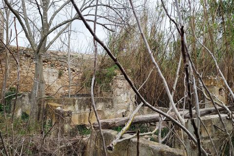 Landsbyhus i Binissalem, Mallorca, Binissalem - € 1.500.000 | Ref: 710 - foto 22