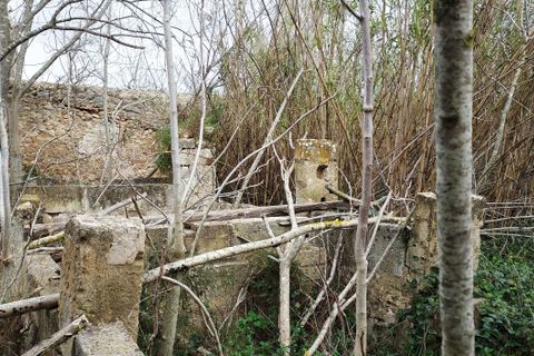Landsbyhus i Binissalem, Mallorca, Binissalem - € 1.500.000 | Ref: 710 - foto 23