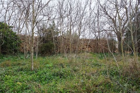 Landsbyhus i Binissalem, Mallorca, Binissalem - € 1.500.000 | Ref: 710 - foto 24