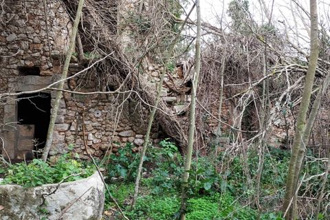 Landsbyhus i Binissalem, Mallorca, Binissalem - € 1.500.000 | Ref: 710 - foto 26