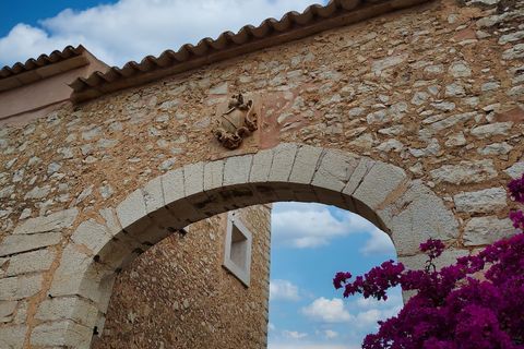 Finca i Binissalem, Mallorca, Binissalem - € 4.500.000 | Ref: 614 - foto 10