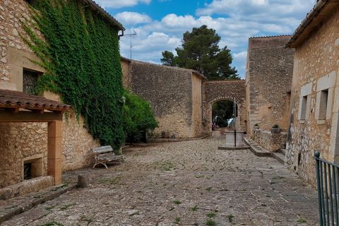 Finca i Binissalem, Mallorca, Binissalem - € 4.500.000 | Ref: 614 - foto 11