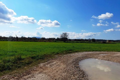 Finca i Costitx, Mallorca, Costitx - € 700 000 | Ref: 546 - foto 22
