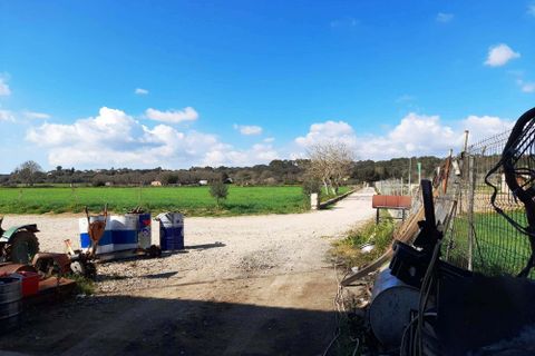 Finca i Costitx, Mallorca, Costitx - € 700 000 | Ref: 546 - foto 23