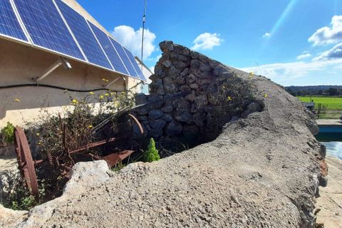 Finca i Costitx, Mallorca, Costitx - € 700 000 | Ref: 546 - foto 29