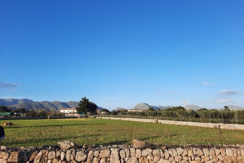 Finca i Pollenca, Mallorca, Pollenca - € 890.000 | Ref: 462 - foto 12