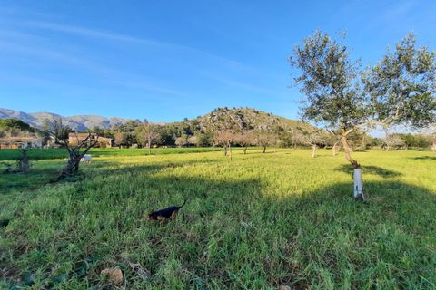 Finca i Pollenca, Mallorca, Pollenca - € 890.000 | Ref: 462 - foto 13
