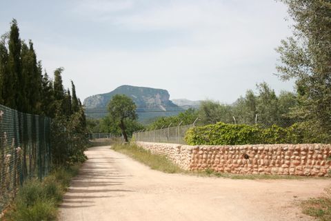 Terra a Lloseta, Mallorca, Lloseta - € 330.000 | Ref: 236 - foto 1