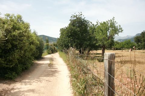 Terra a Lloseta, Mallorca, Lloseta - € 330.000 | Ref: 236 - foto 17