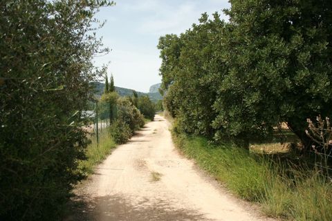 Terra a Lloseta, Mallorca, Lloseta - € 330.000 | Ref: 236 - foto 18
