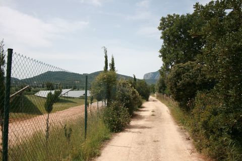 Terra a Lloseta, Mallorca, Lloseta - € 330.000 | Ref: 236 - foto 19