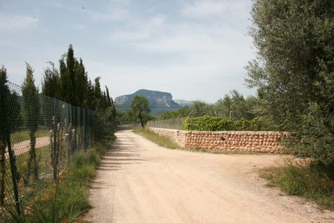 Terra a Lloseta, Mallorca, Lloseta - € 330.000 | Ref: 236 - foto 20