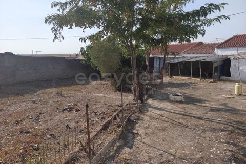 Villa a Beja, Beja, Beja - € 120.000 | Ref: BJ97781AJ - foto 7