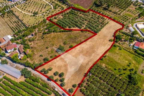 Terra a Batalha, Leiria, Batalha - € 140.000 | Ref: TER_77 - foto 8