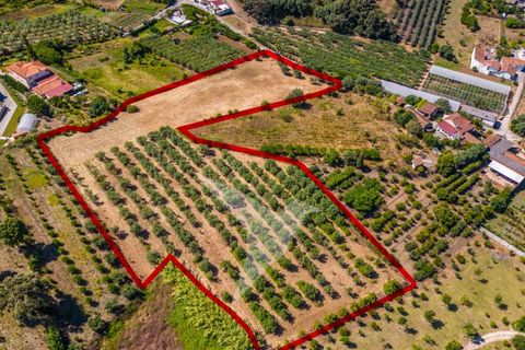 Terra a Batalha, Leiria, Batalha - € 140.000 | Ref: TER_77 - foto 7