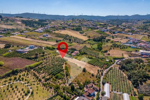 Terra a Batalha, Leiria, Batalha - € 140.000 | Ref: TER_77 - foto 9