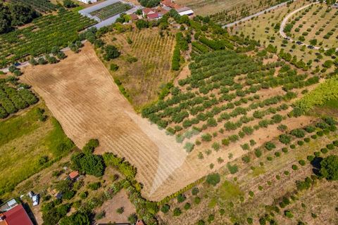 Terra a Batalha, Leiria, Batalha - € 140.000 | Ref: TER_77 - foto 4