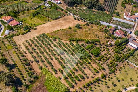 Terra a Batalha, Leiria, Batalha - € 140.000 | Ref: TER_77 - foto 5