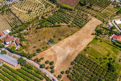 Terra a Batalha, Leiria, Batalha - € 140.000 | Ref: TER_77 - foto 6