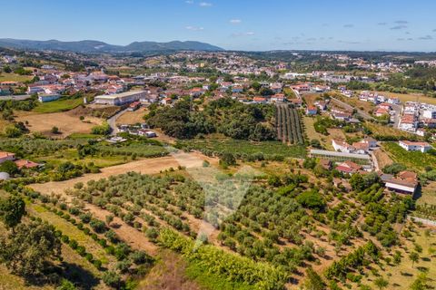 Terra a Batalha, Leiria, Batalha - € 140.000 | Ref: TER_77 - foto 11