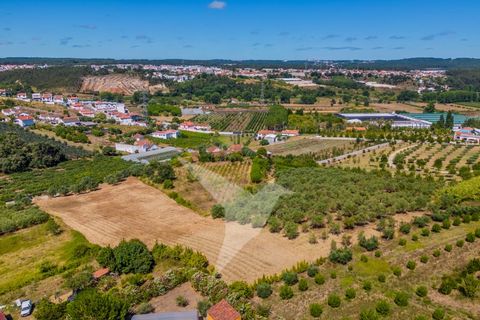 Terra a Batalha, Leiria, Batalha - € 140.000 | Ref: TER_77 - foto 12
