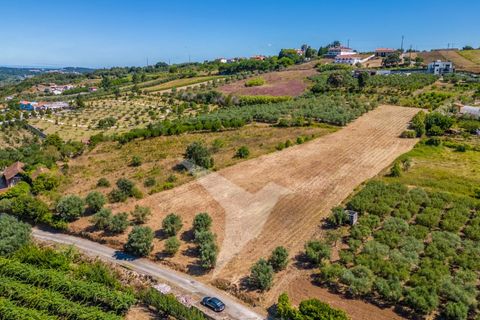 Terra a Batalha, Leiria, Batalha - € 140.000 | Ref: TER_77 - foto 13