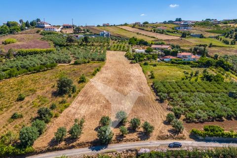 Terra a Batalha, Leiria, Batalha - € 140.000 | Ref: TER_77 - foto 14