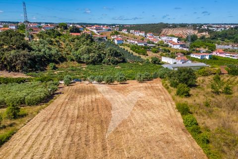 Terra a Batalha, Leiria, Batalha - € 140.000 | Ref: TER_77 - foto 15