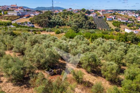 Terra a Batalha, Leiria, Batalha - € 140.000 | Ref: TER_77 - foto 17