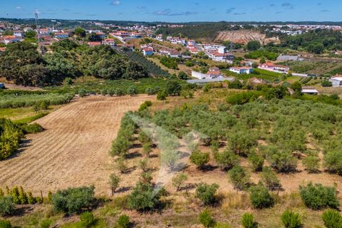 Terra a Batalha, Leiria, Batalha - € 140.000 | Ref: TER_77 - foto 19