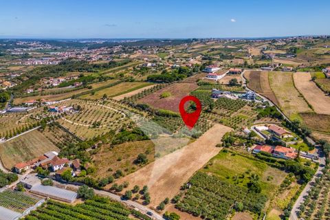 Terra a Batalha, Leiria, Batalha - € 140.000 | Ref: TER_77 - foto 20