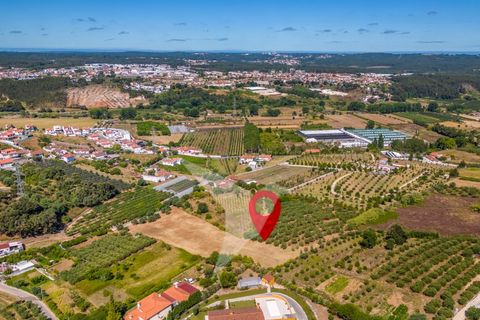 Terra a Batalha, Leiria, Batalha - € 140.000 | Ref: TER_77 - foto 21