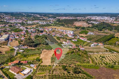 Terra a Batalha, Leiria, Batalha - € 140.000 | Ref: TER_77 - foto 22