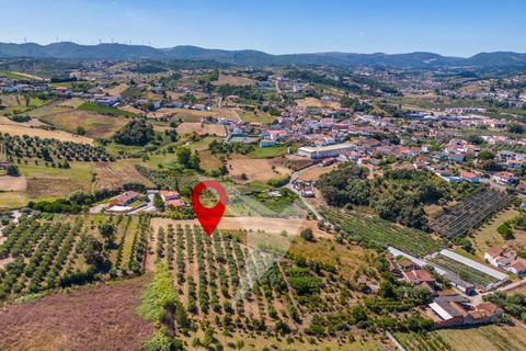 Terra a Batalha, Leiria, Batalha - € 140.000 | Ref: TER_77 - foto 23