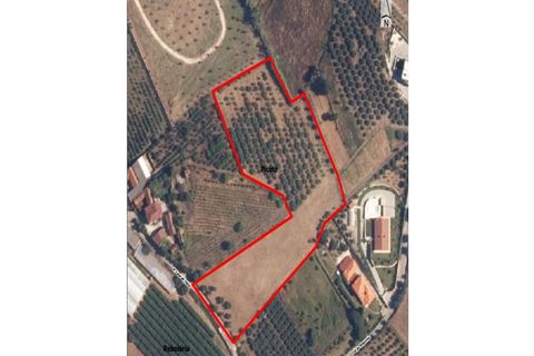 Terra a Batalha, Leiria, Batalha - € 140.000 | Ref: TER_77 - foto 26