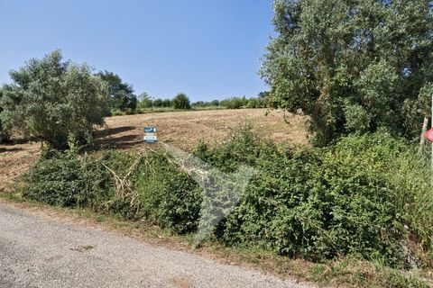 Terra a Batalha, Leiria, Batalha - € 140.000 | Ref: TER_77 - foto 2