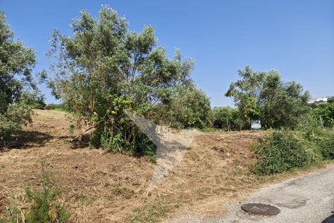 Terra a Batalha, Leiria, Batalha - € 140.000 | Ref: TER_77 - foto 3