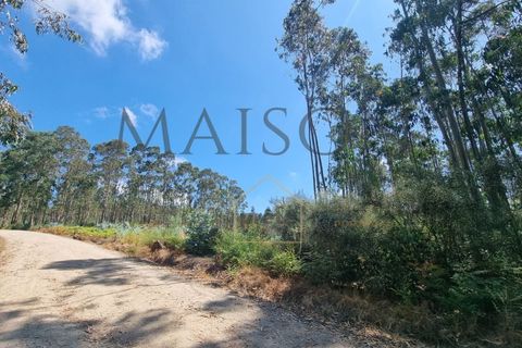 Terra a Lamoso, Porto, Lamoso - € 115.000 | Ref: MP-EF-T-260 - foto 2