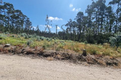 Terra a Lamoso, Porto, Lamoso - € 115.000 | Ref: MP-EF-T-260 - foto 3