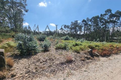 Terra a Lamoso, Porto, Lamoso - € 115.000 | Ref: MP-EF-T-260 - foto 6