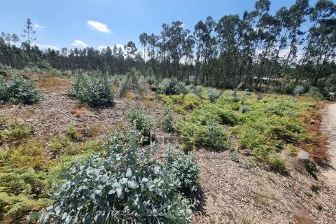 Terra a Lamoso, Porto, Lamoso - € 115.000 | Ref: MP-EF-T-260 - foto 7