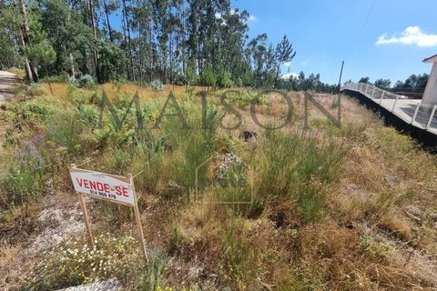 Terreno en Codessos, Porto, Codessos - € 60.000 | Ref: MP-EF-T-259 - photo 2