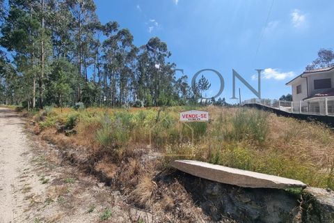 Terreno en Codessos, Porto, Codessos - € 60.000 | Ref: MP-EF-T-259 - photo 3