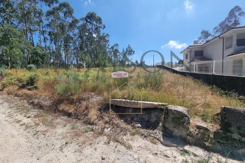 Terreno en Codessos, Porto, Codessos - € 60.000 | Ref: MP-EF-T-259 - photo 4