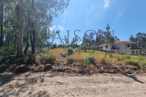 Terreno en Codessos, Porto, Codessos - € 60.000 | Ref: MP-EF-T-259 - photo 5