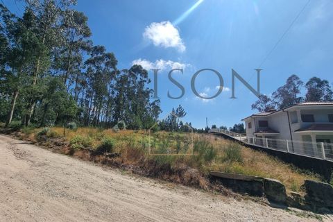 Terreno en Codessos, Porto, Codessos - € 60.000 | Ref: MP-EF-T-259 - photo 6
