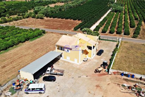 Villa i Algoz, Faro, Algoz - € 780.000 | Ref: FS199 - foto 23
