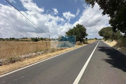 Helårsgrund i Noto, Siracusa, Noto - € 30.000 | Ref: NT TCAM 30 - foto 2