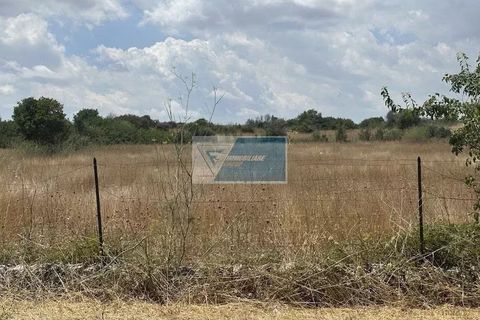 Helårsgrund i Noto, Siracusa, Noto - € 30.000 | Ref: NT TCAM 30 - foto 5